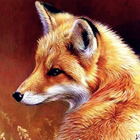 Fox Wallpaper icône