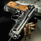 Gun Wallpaper simgesi