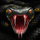 Snake Wallpaper APK