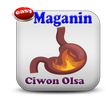 Maganin Ciwon Ulcer(Olsa)