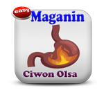 Maganin Ciwon Ulcer(Olsa) ícone