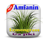 Amfanin Lemongrass(Ciyawa mai Kamshin Lemo) icône