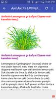 Amfanin Lemongrass(Ciyawa mai Kamshin Lemo) Affiche