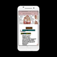 Thorax Medical Mnemonics اسکرین شاٹ 3