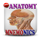 Anatomy Mnemonics icône