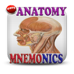 Anatomy Mnemonics