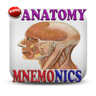 Anatomy Mnemonics 圖標