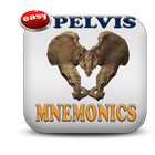 Pelvic And Perineum Mnemonics иконка