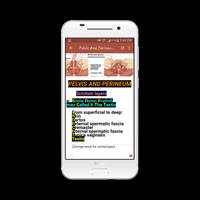 Pelvic And Perineum Mnemonics Ekran Görüntüsü 2