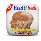 ikon Head & Neck Mnemonics