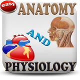 Anatomy & Physiology Mnemonics-icoon