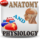 Anatomy & Physiology Mnemonics أيقونة