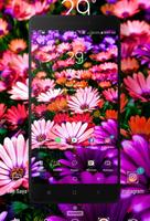 Colorful Wallpaper 截圖 1