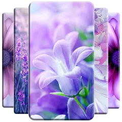 Purple Flower Wallpaper APK Herunterladen