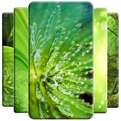 Green Wallpaper APK download