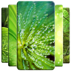 Green Wallpaper icon