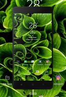 Green Wallpaper poster
