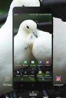Dove Wallpaper screenshot 3