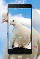 Dove Wallpaper screenshot 1