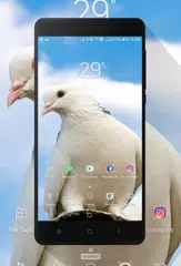 Dove Wallpaper APK 下載