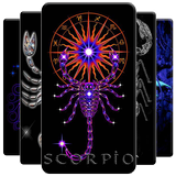 Scorpion Wallpaper icon
