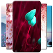 ”Spring Wallpaper