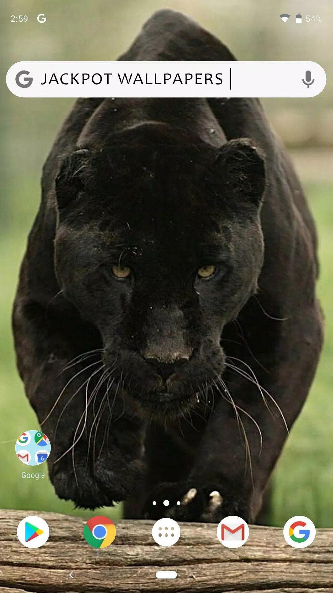 Big Cat Wallpaper APK for Android Download Big Cat Wallpaper APK for Android Download