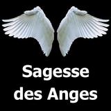 Sagesse des anges - Audiobooks simgesi