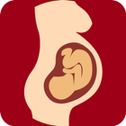 All About Pregnancy, During & After Pregnancy icon