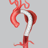 Open Vascular Surgery Skills biểu tượng