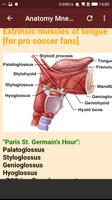 Anatomy Mnemonics capture d'écran 3
