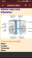 Anatomy Mnemonics screenshot 2
