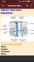 Anatomy Mnemonics capture d'écran 2