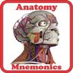 Anatomy Mnemonics