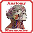 آیکون‌ Anatomy Mnemonics