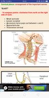 Anatomy Mnemonics 스크린샷 3