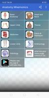 پوستر Anatomy Mnemonics