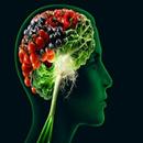 Food That Hurts The Brain APK