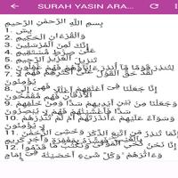 Surat Yasin MP3 screenshot 1