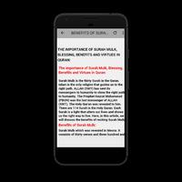 Surah Mulk MP3 Offline syot layar 1