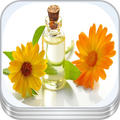 Recetas de plantas medicinales