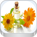 Recetas de plantas medicinales APK
