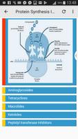 Antibiotics capture d'écran 1