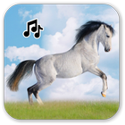 Horse sounds ikon