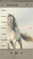 Horse sounds Affiche
