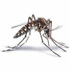 Tropical Diseases-icoon