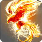 Phoenix Wallpapers آئیکن