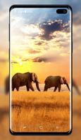 Elephant Wallpaper imagem de tela 3