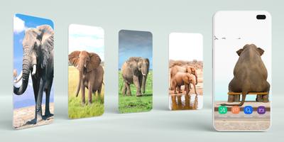 Elephant Wallpaper Cartaz