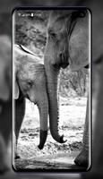 Elephant Wallpaper imagem de tela 1